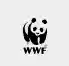 WWF Market